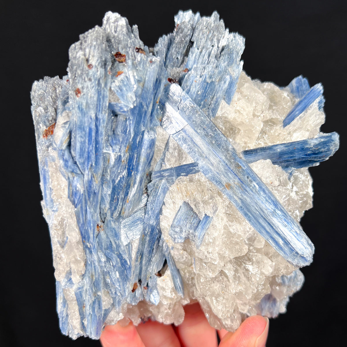 Blue Kyanite Crystals in Quartz with Staurolite