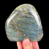 Reverse side of specimen