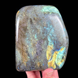 Reverse side of specimen