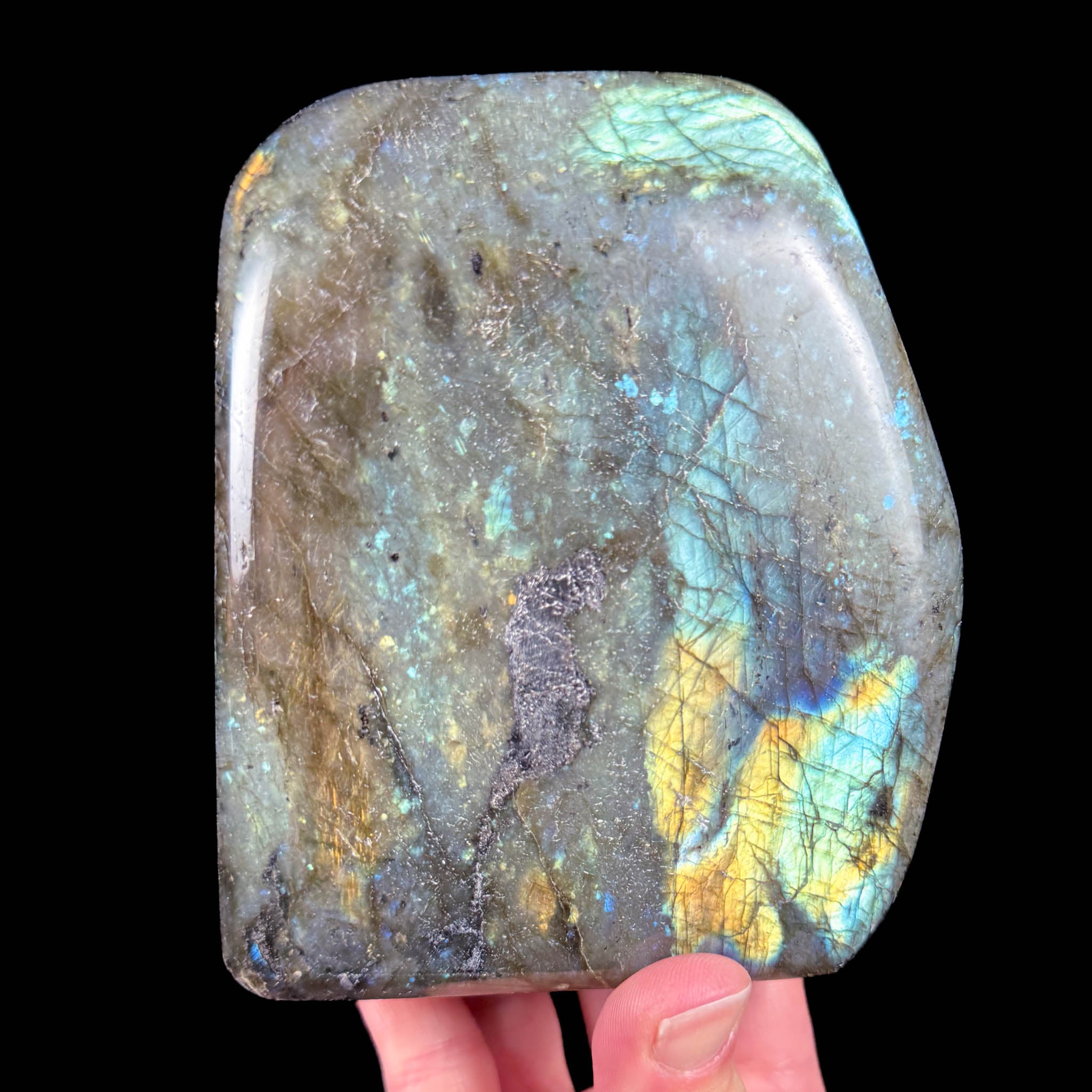 Reverse side of specimen
