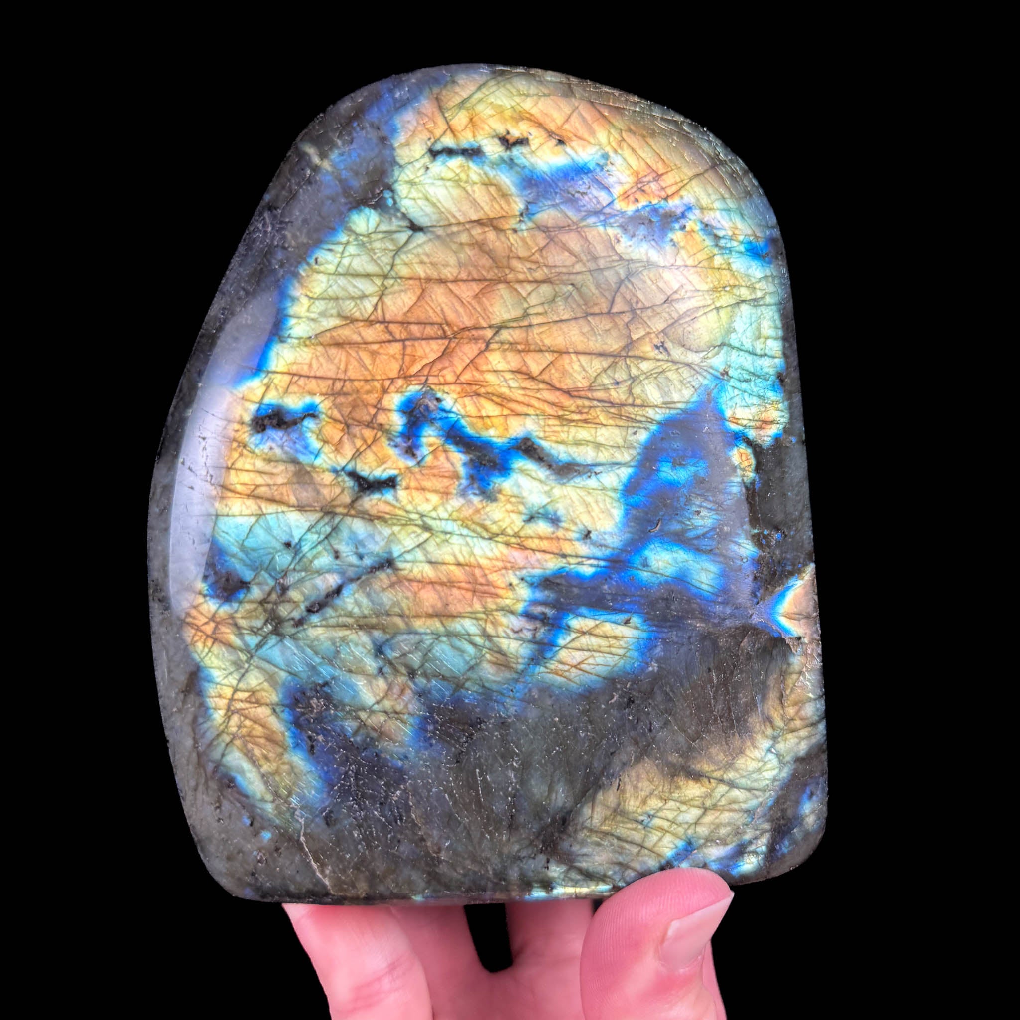 Gold and blue flash Labradorite from Madagascar