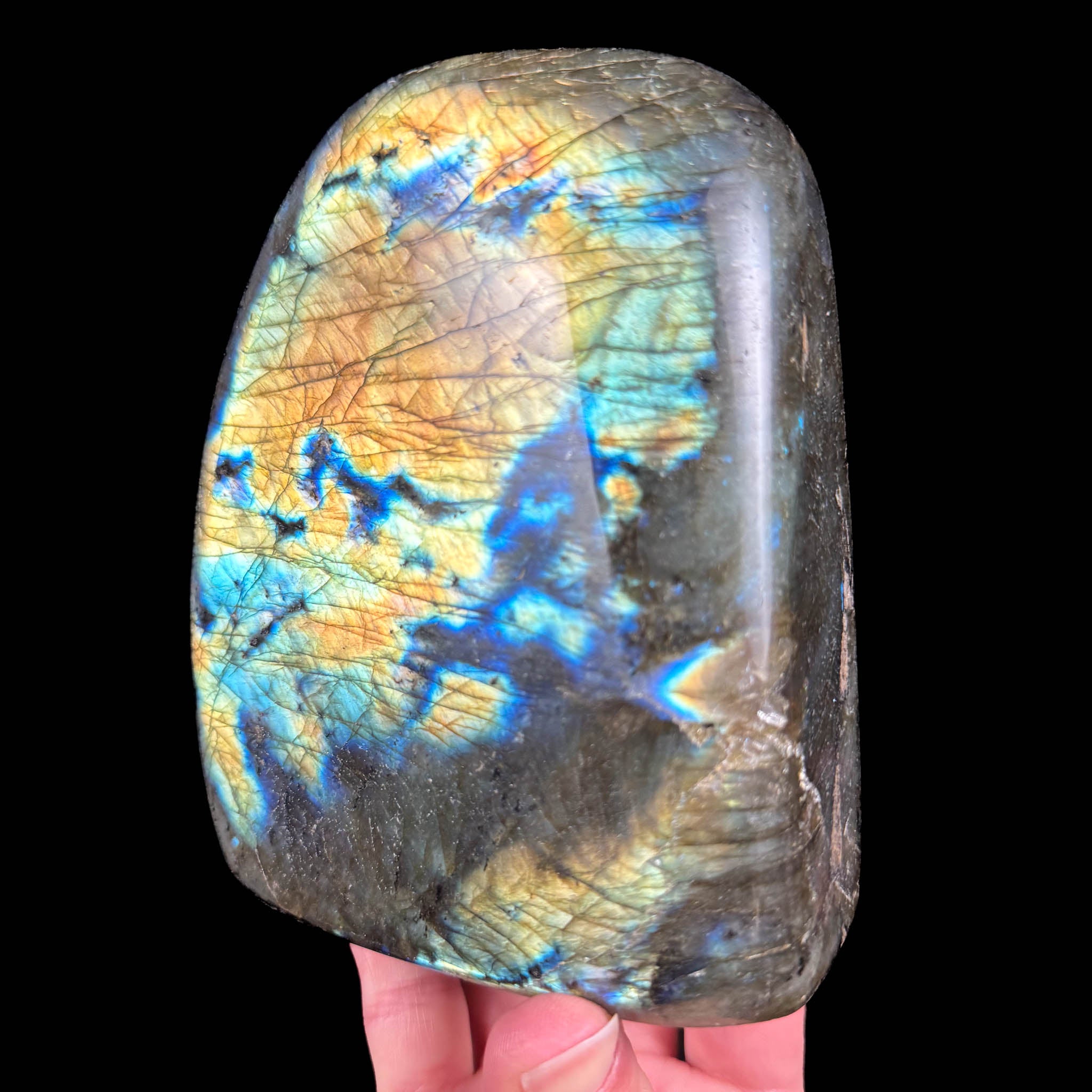 Labradorite polished cut-base stone from Madagascar