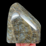 Back side of specimen