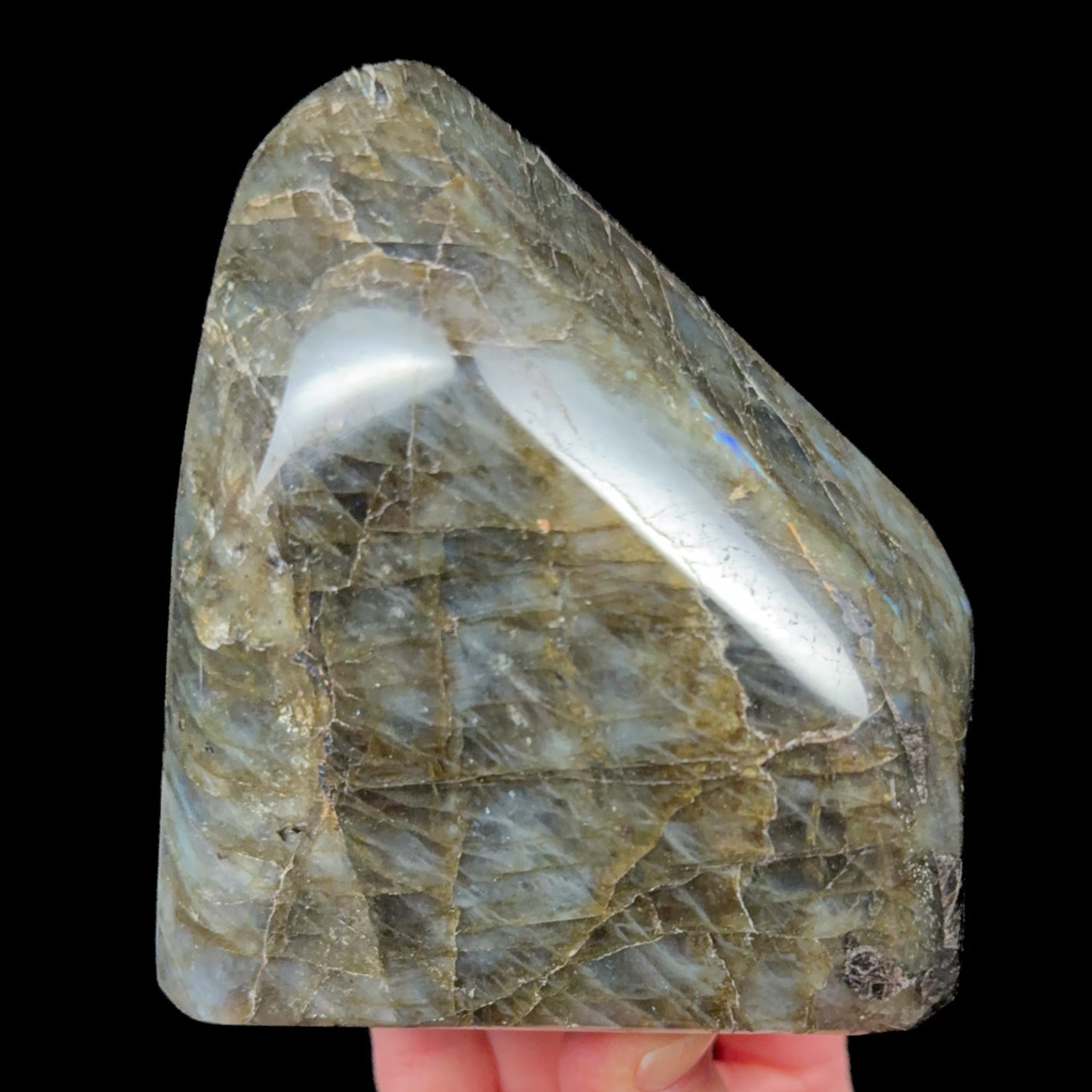 Back side of specimen