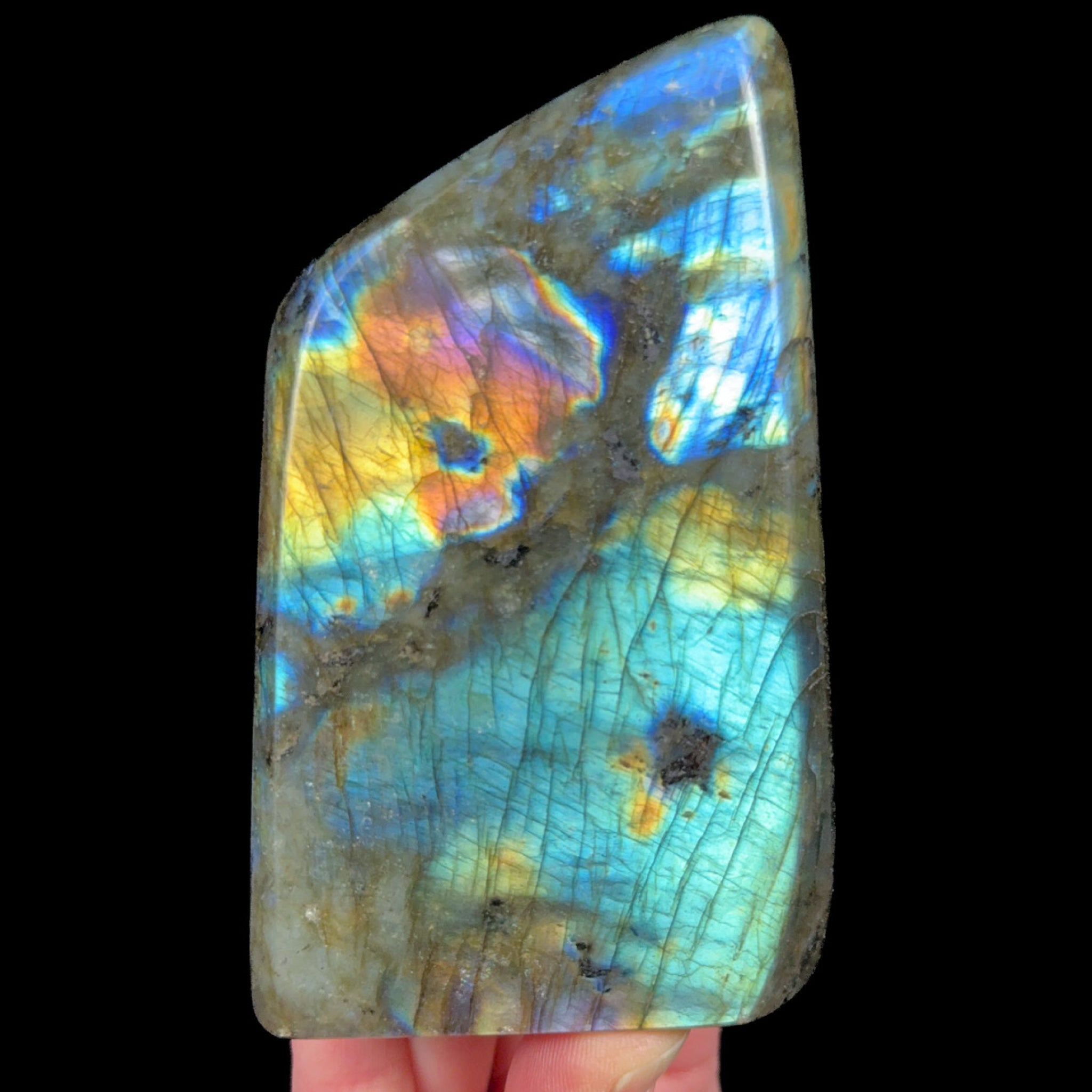 Polished Labradorite stone displaying rainbow Labradorescence