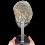 Back Side of Amethyst Geode Specimen on Metal Display Stand