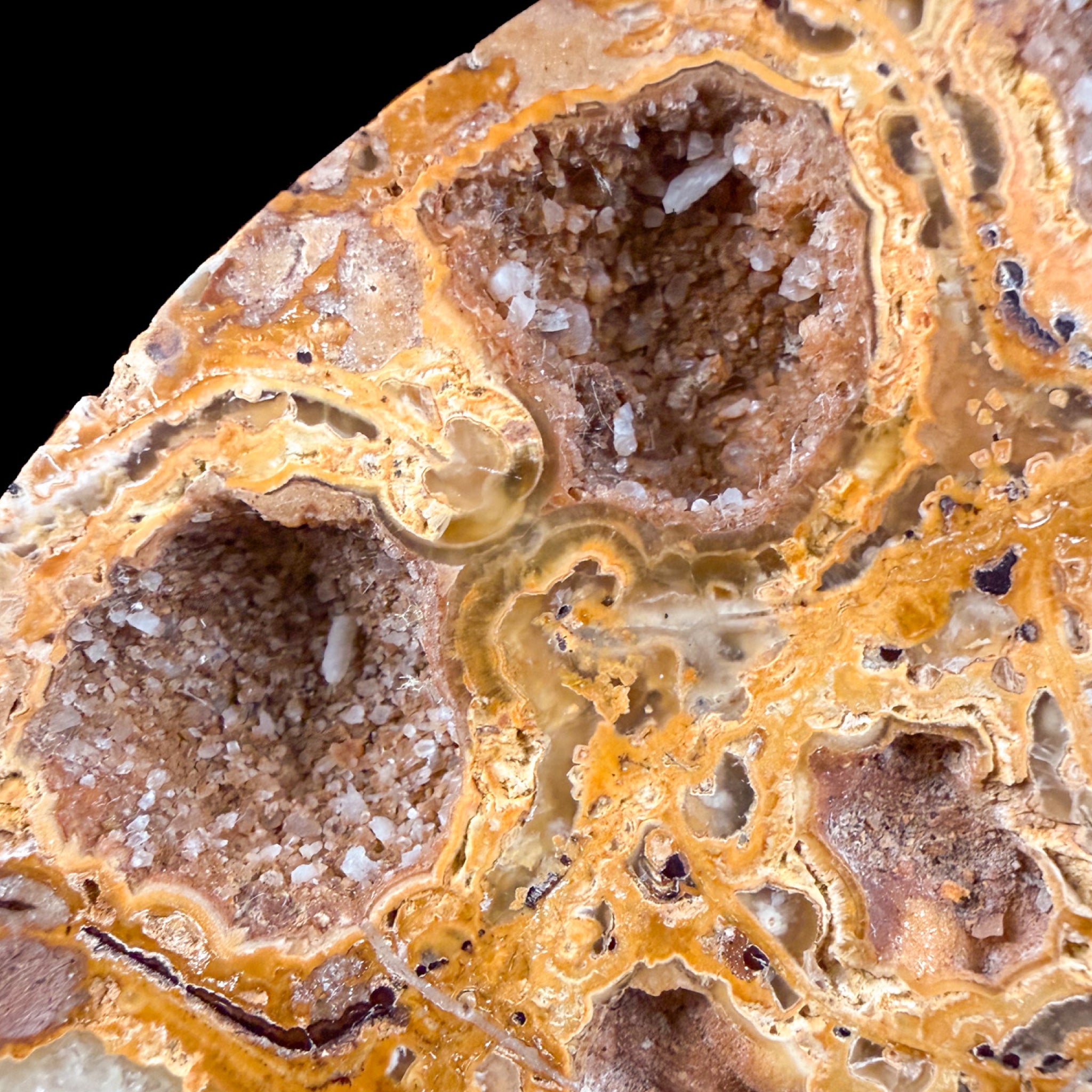 Calcite Crystals in Ammonite Fossil  chambers