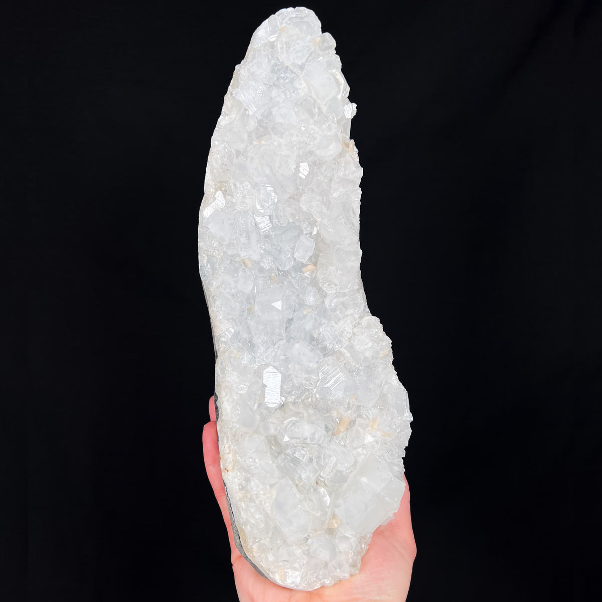Large Apophyllite Geode with Stilbite Crystals