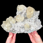 Large Calcite Crystals on Drusy Quartz from Mexico