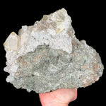 Back side of Specimen