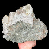 Back side of Specimen