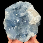 Large Blue Geode of Celestite crystals