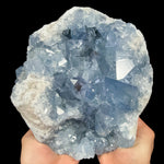 Large blue crystals of Celestite inside a geode