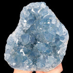 Large Blue Crystals Inside Celestite Geode 