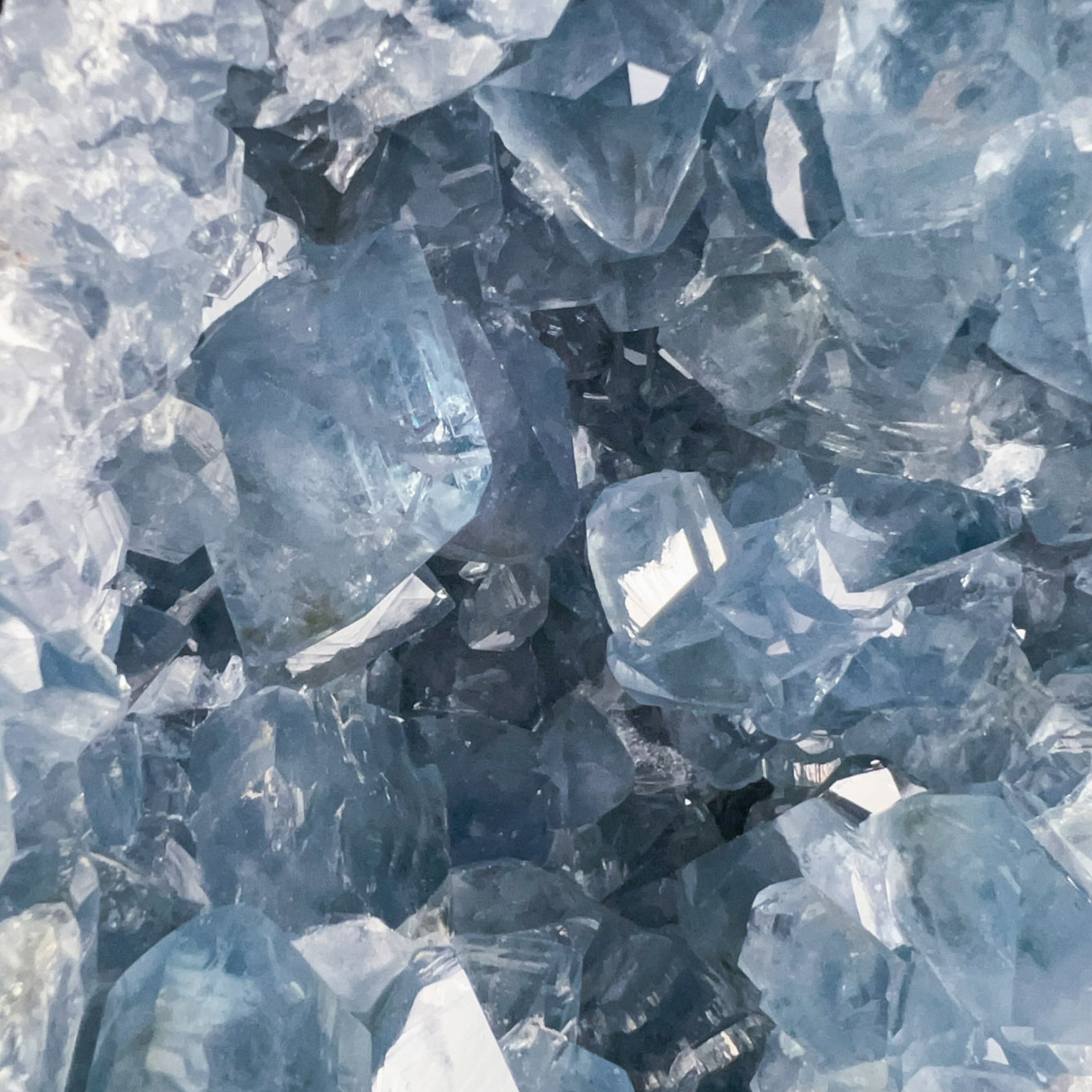 Close up of Celestite Geode Crystals
