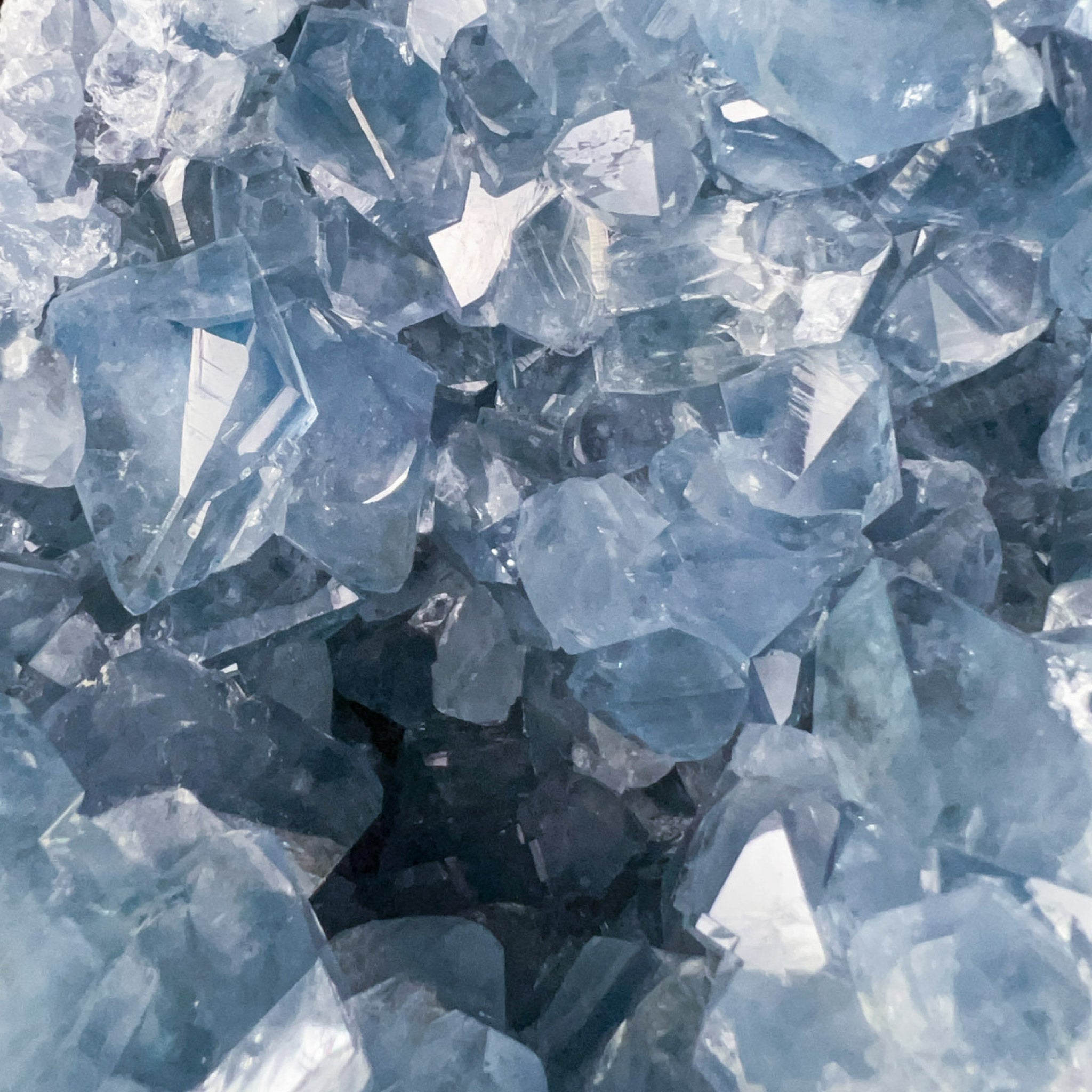 Close up of Celestite / Celestine Blue Crystals Inside a Geode