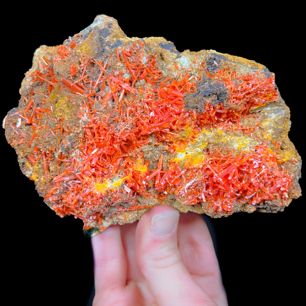 Large Crocoite Mineral Specimen from Tasmania