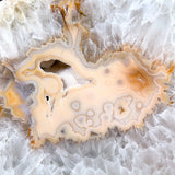Large Drusy Quartz and Agate Geode Slab