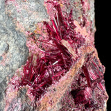 Close up of magenta colored crystals of Erythrite