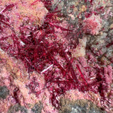 Close up of elongated crystal blades of magenta colored Erythrite crystals