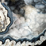 Chalcedony and Quartz Crystals Inside Fossilized Coral from Florida