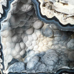 Chacledony in Fossil Coral