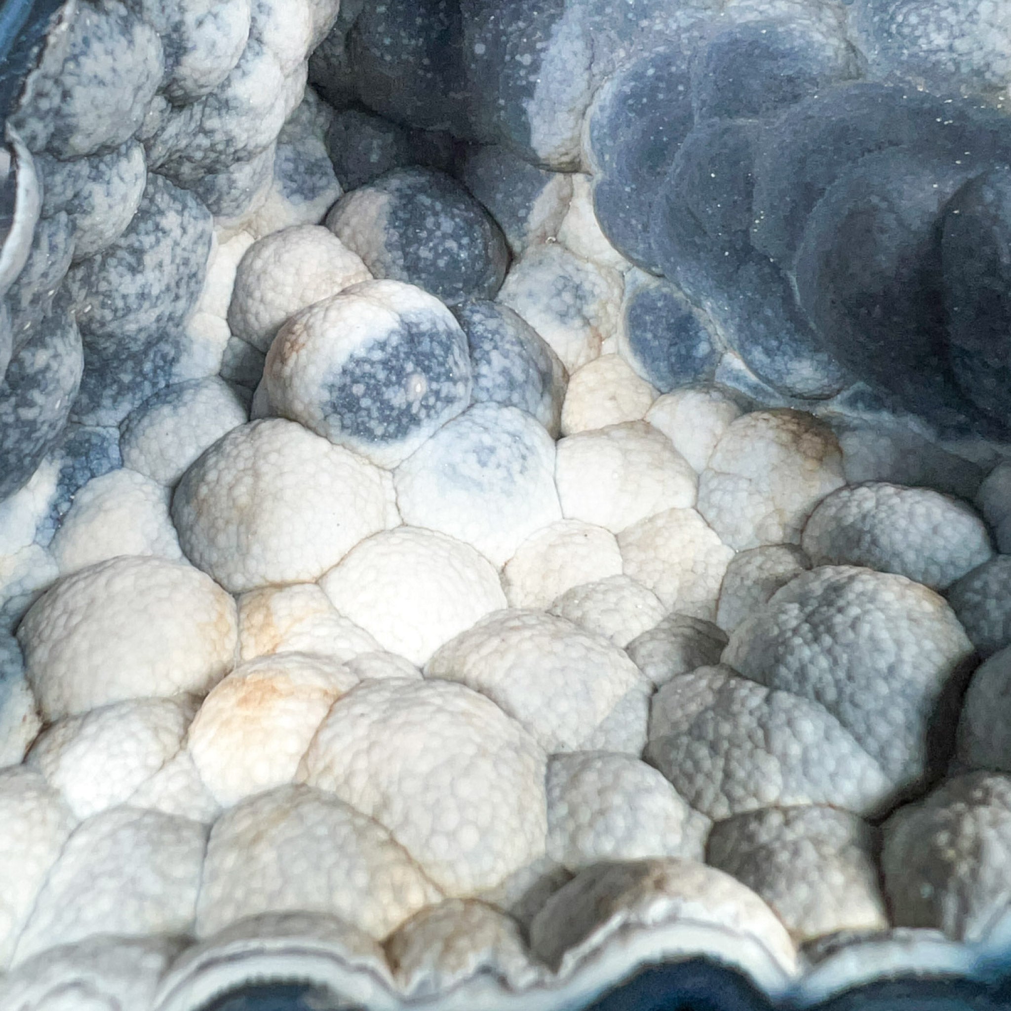 Botryoidal Chalcedony Crystals Inside Fossil Coral