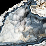 Fossilized Coral from Tampa Bay with Chalcedony Crystals Inside