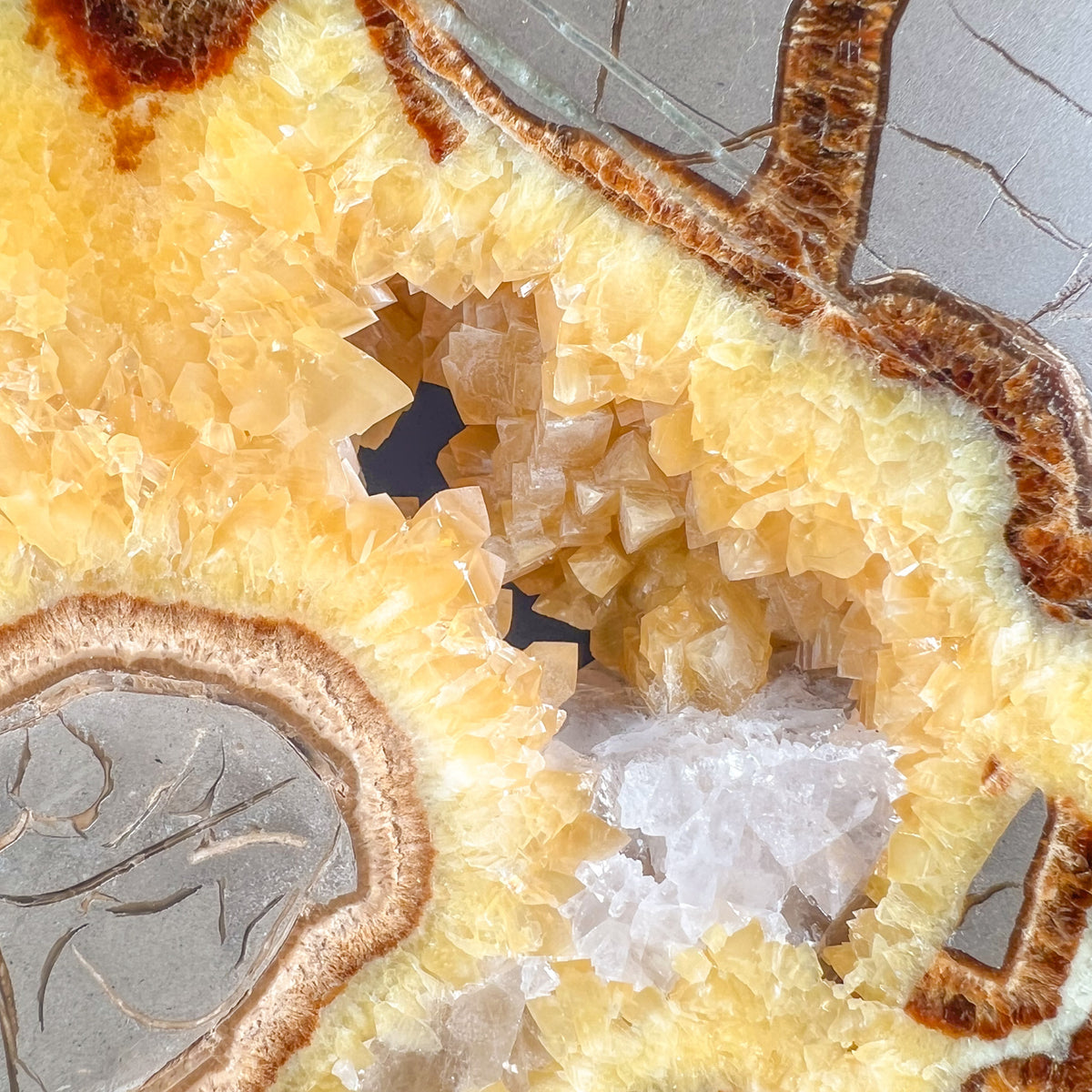 Close Up of Golden Calcite Crystals inside a Concretion