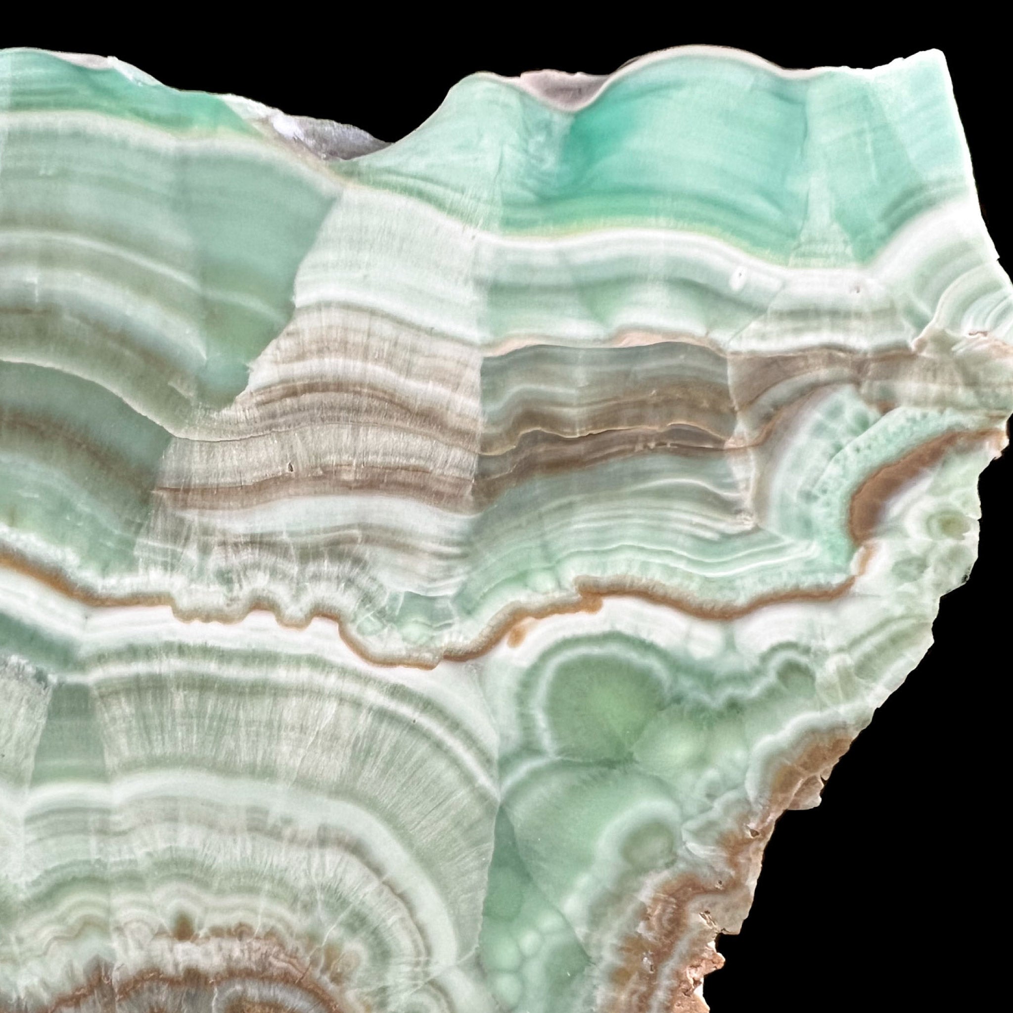 Close up of Teal Green Copper Replaced Aragonite Stone Slice