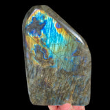 Large polished Labradorite stone with a rainbow color flash