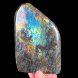 Large fully polished Labradorite stone with a rainbow of colors