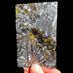 Large Seymchan Pallasite Meteorite Slice with Olivine Inclusions