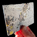 Side View of Large Seymchan Pallasite Meteorite