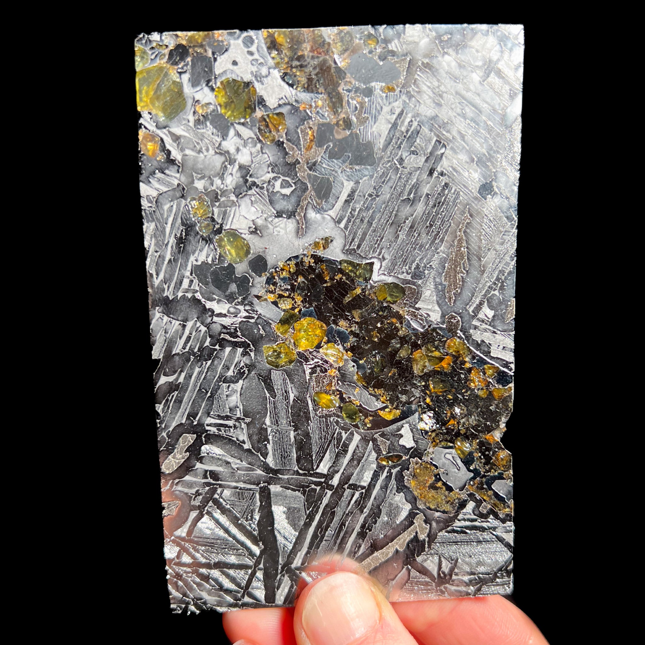 Large Slice of Seymchan Pallasite Meteorite
