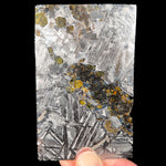 Large Seymchan Pallasite Meteorite Slice with Olivine Inclusions