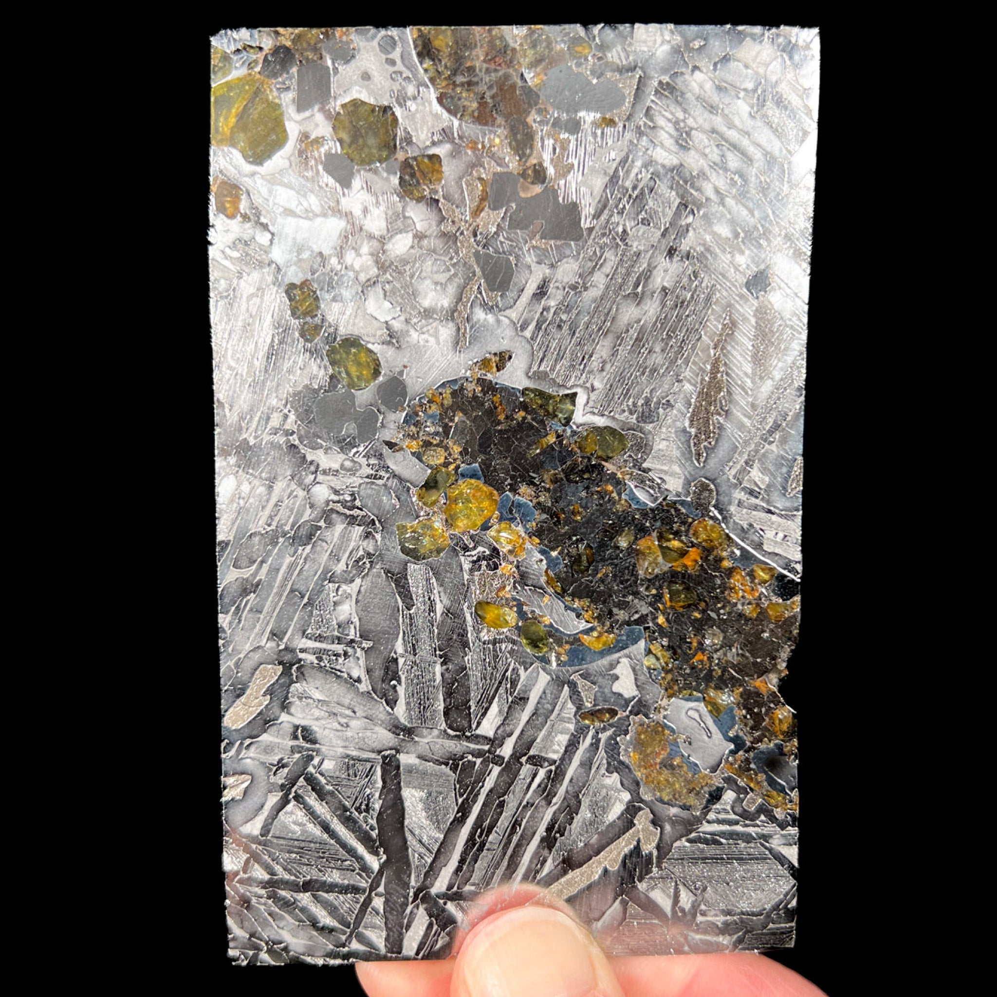 Large Seymchan Pallasite Meteorite Slice with Olivine Inclusions