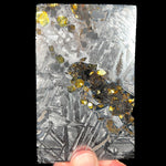 Large Seymchan Pallasite Meteorite Slice with Olivine Inclusions