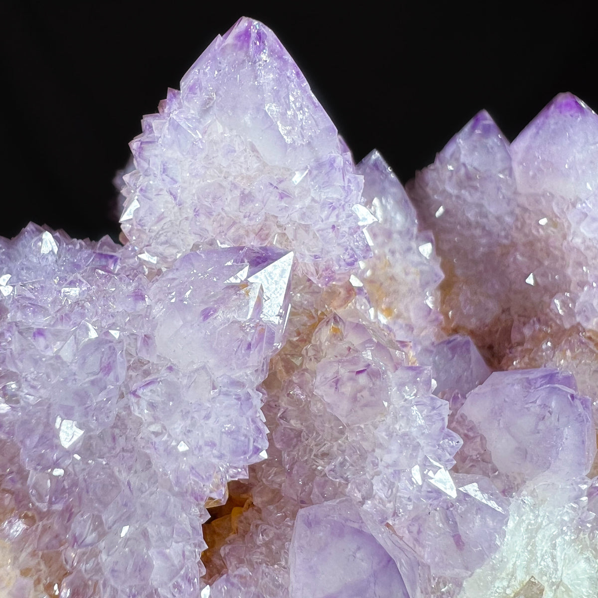 Close Up of Cactus Quartz Amethyst