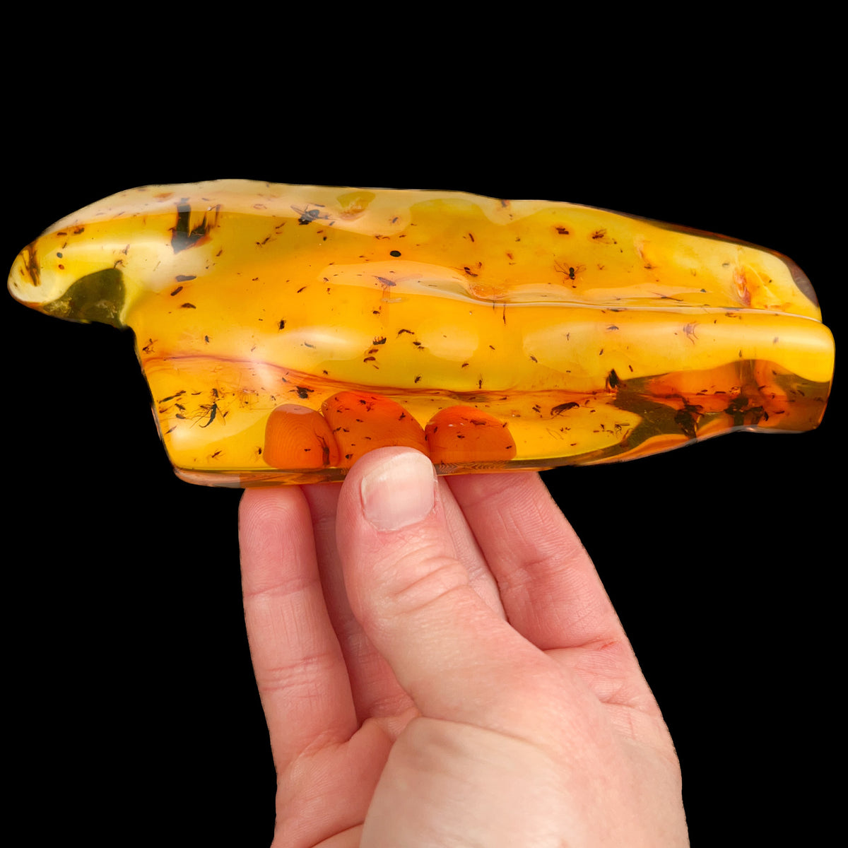 Large Polished Copal Amber from Colombia
