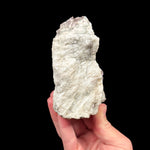 Back side of specimen