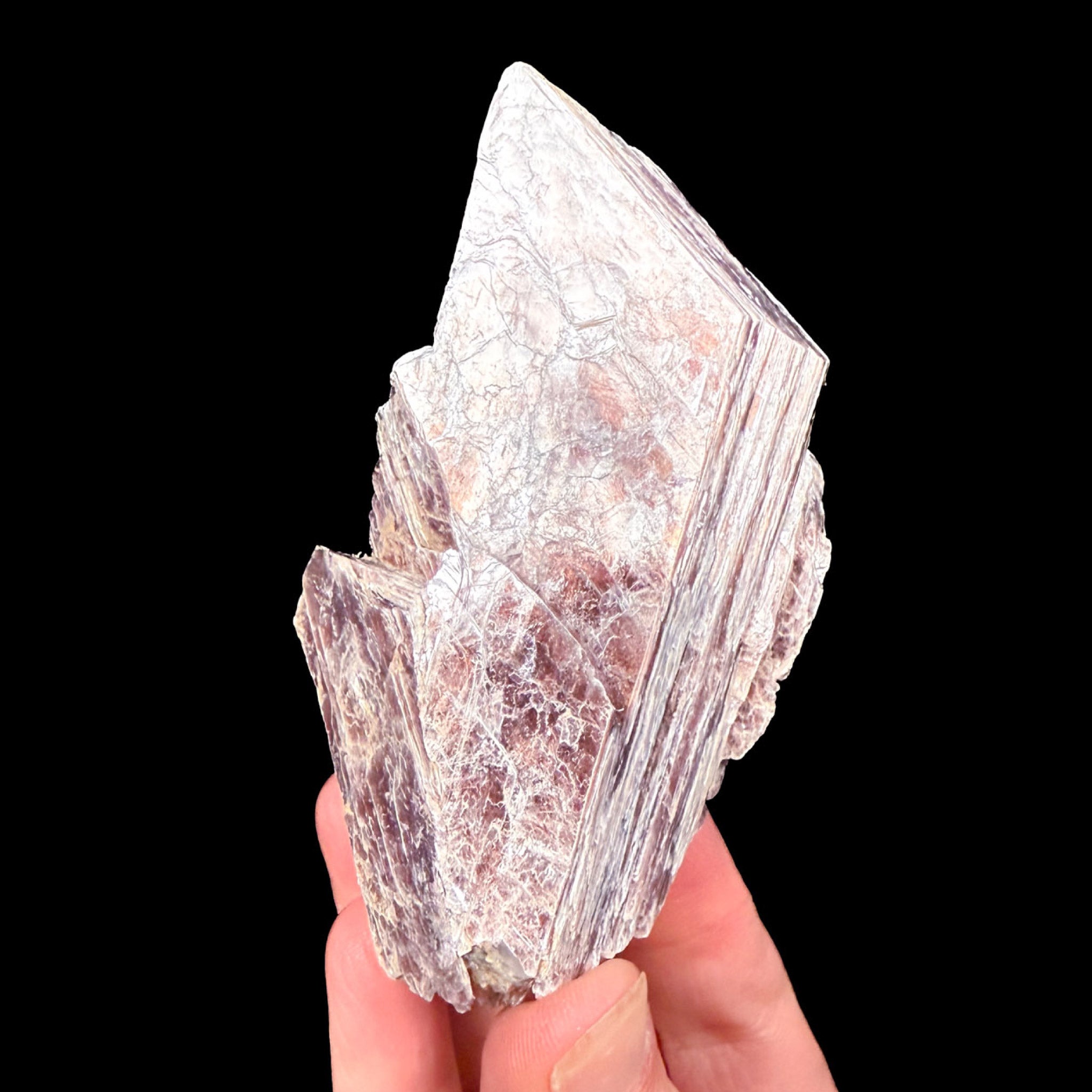 Lepidolite mica from the Brown Derby Mine, Gunnison area Colorado