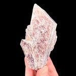 Lepidolite crystal specimen from Brown Derby Mine, Colorado