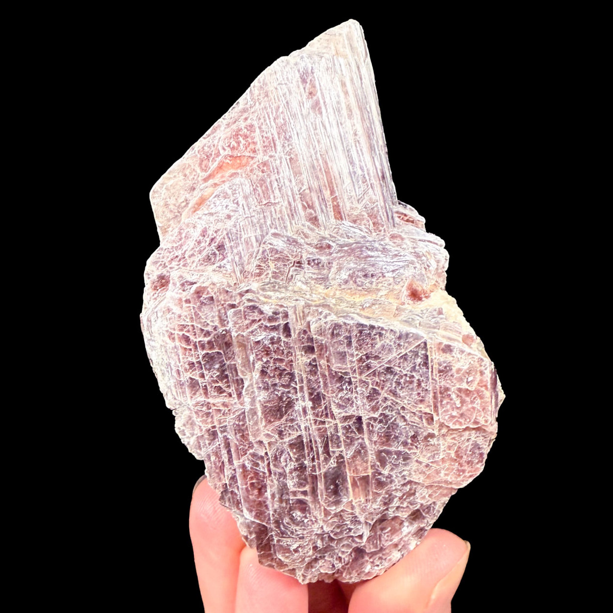 Purple and pink sheet-like crystals of Lepidolite mica