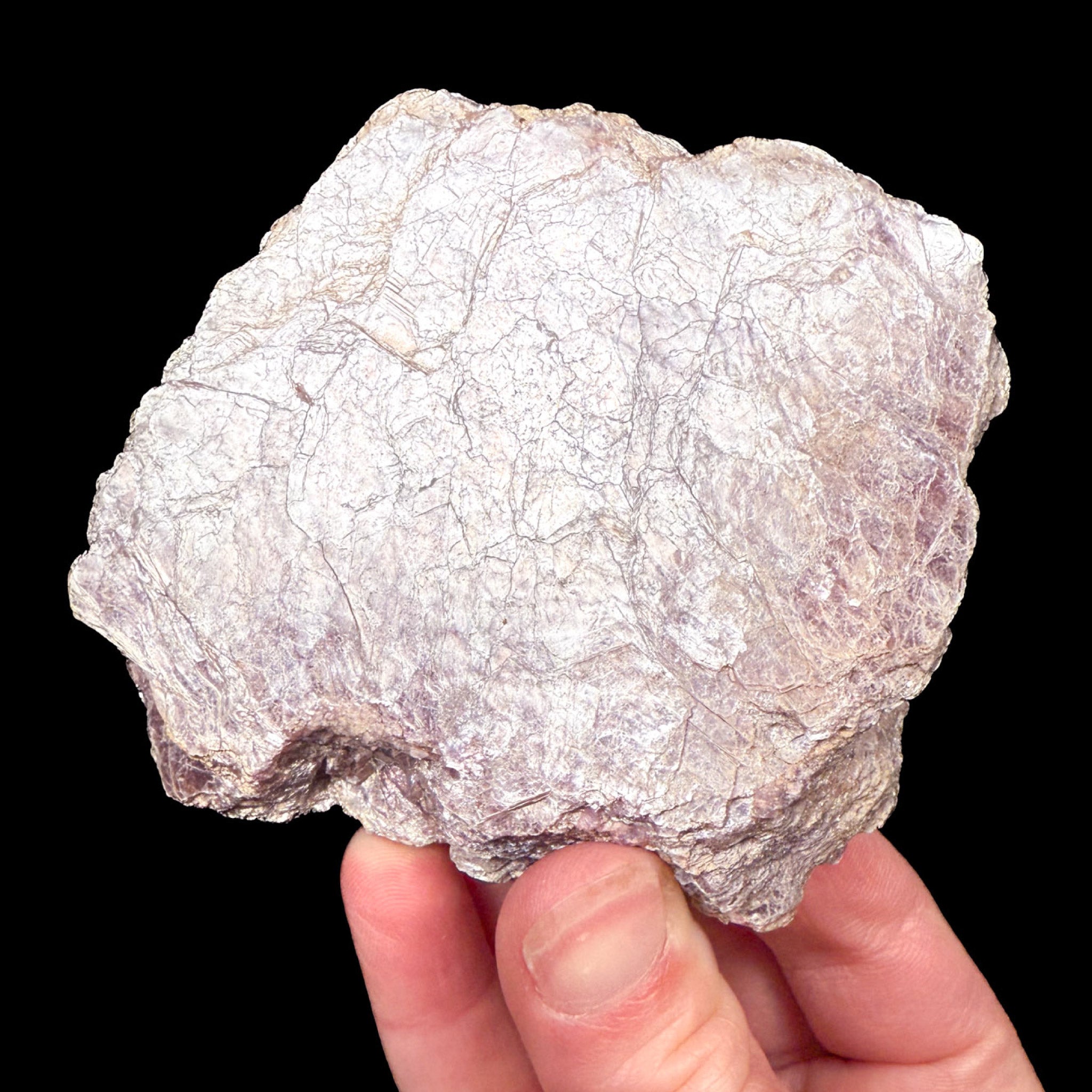 Shiny metallic Lepidolite