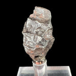 Sikhote Alin Meteorite