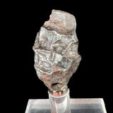 Sikhote Alin Meteorite