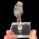 Sikhote Alin Meteorite on Magnetic Display Stand