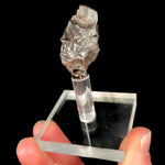 Iron Nickel Meteorite from Sikhote-Alin