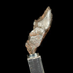 Side View of Sikhote Alin Meteorite